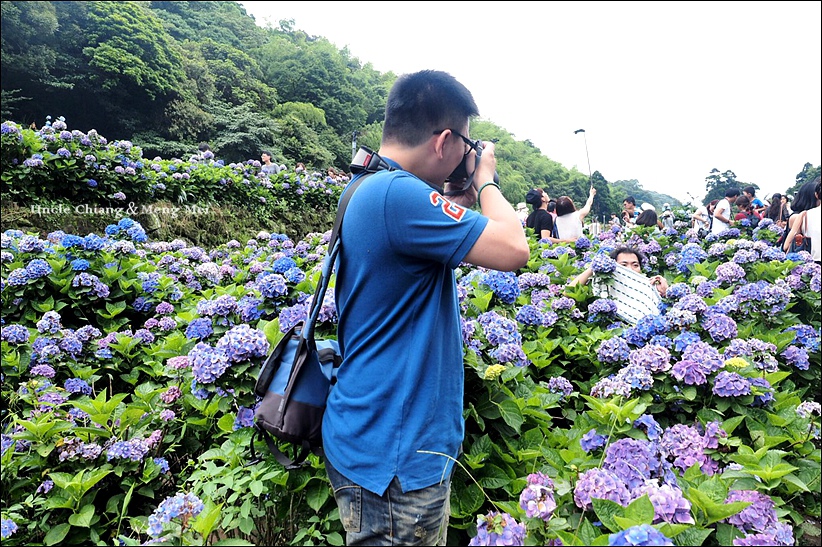 2758509356103.jpg 2758509356103.jpg