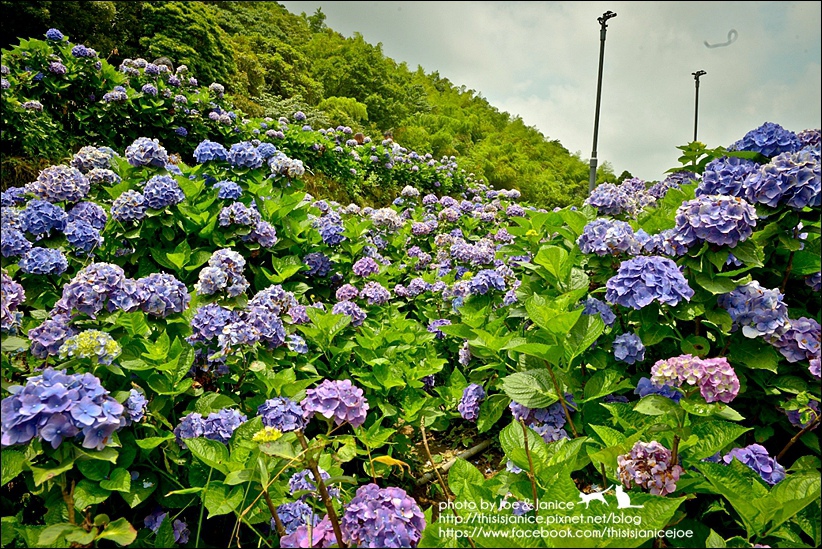 DSC_3506-2.jpg DSC_3506-2.jpg