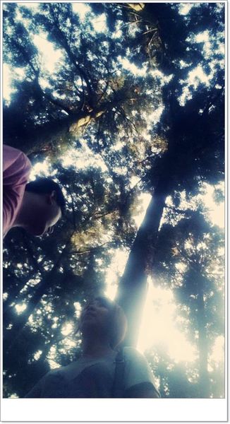 10653454_10204026707290185_8913255492844992492_n