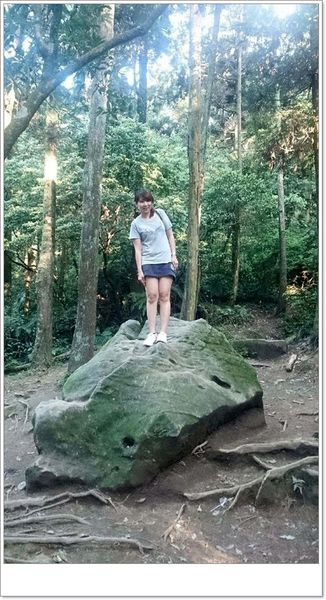 11102926_10204026705130131_3090688452566279614_n