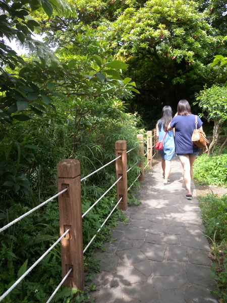 竹子湖高家繡球花田：[台北] 陽明山 竹子湖 滿遍 繡球花   假日快點衝啦!!!!