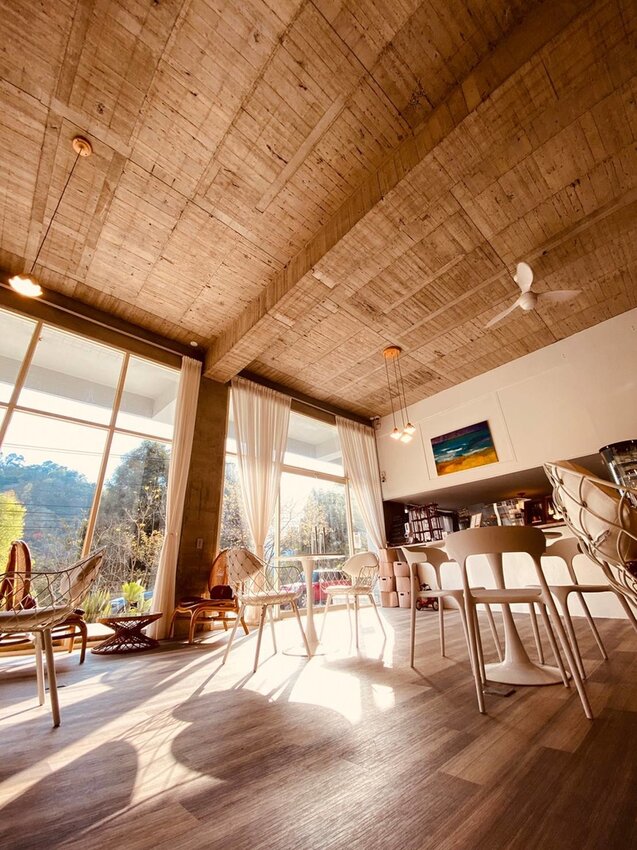 【新竹.尖石鄉】寵物友善咖啡廳。萃萃咖啡內有店貓店鳥。韓式炸雞+蘋果磅蛋糕+比薩+咖啡+落地玻璃窗