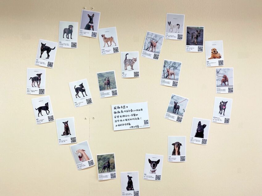 [台中北區] 鐵厝鍋燒｜來自高雄柯仔寮漁村的鍋燒麵｜新鮮食材每日熬煮高湯｜鮮甜好吃的自製虱目魚丸｜寵物友善店家｜內附菜單