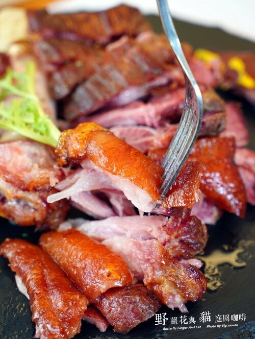 【龍潭美食】野薑花與貓庭園餐廳．野薑花料理、貓咪、立體拉花超療癒!