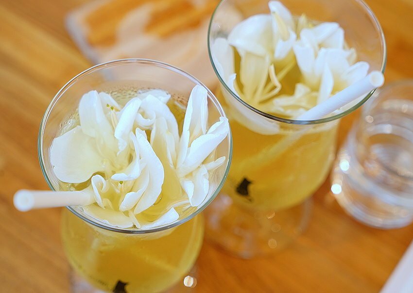 【桃園龍潭】野薑花與貓庭園咖啡．野薑花入菜、近距離與貓咪互動!