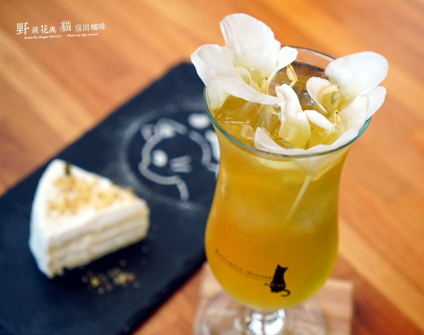 【龍潭美食】野薑花與貓庭園餐廳．野薑花料理、貓咪、立體拉花超療癒!