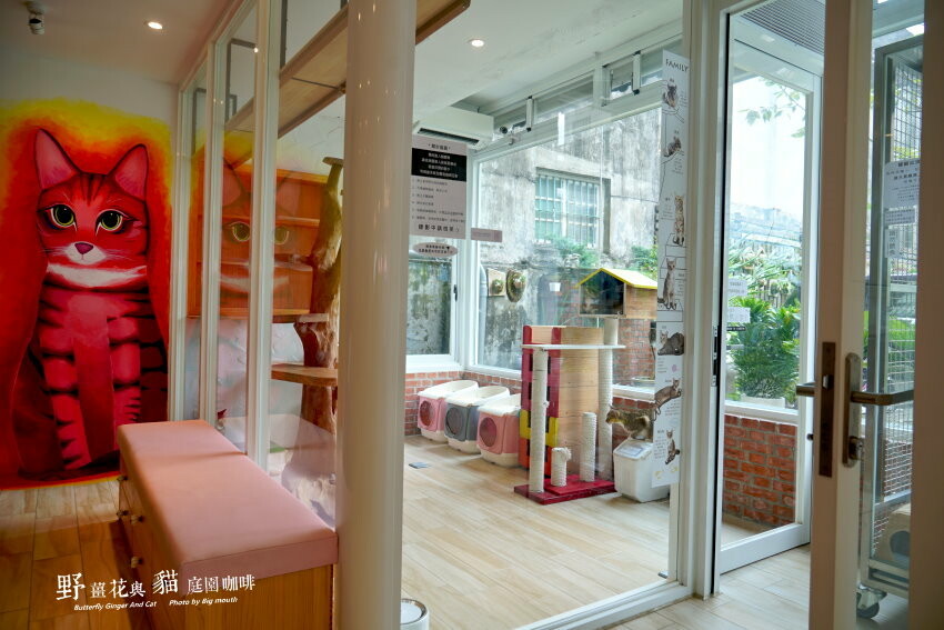 【龍潭美食】野薑花與貓庭園餐廳．野薑花料理、貓咪、立體拉花超療癒!