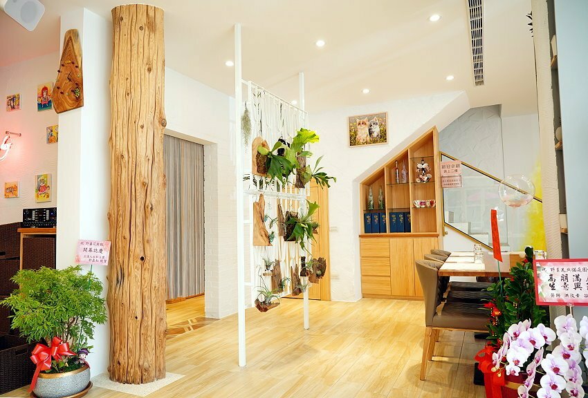 【桃園龍潭】野薑花與貓庭園咖啡．野薑花入菜、近距離與貓咪互動!