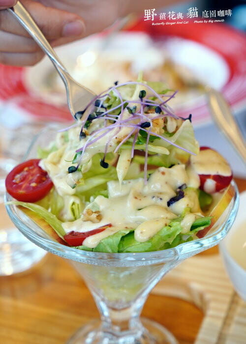【龍潭美食】野薑花與貓庭園餐廳．野薑花料理、貓咪、立體拉花超療癒!