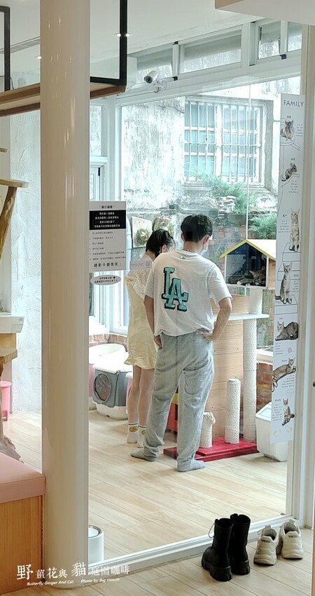 【龍潭美食】野薑花與貓庭園餐廳．野薑花料理、貓咪、立體拉花超療癒!