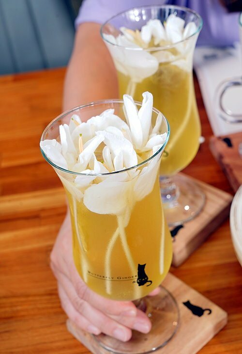 【桃園龍潭】野薑花與貓庭園咖啡．野薑花入菜、近距離與貓咪互動!