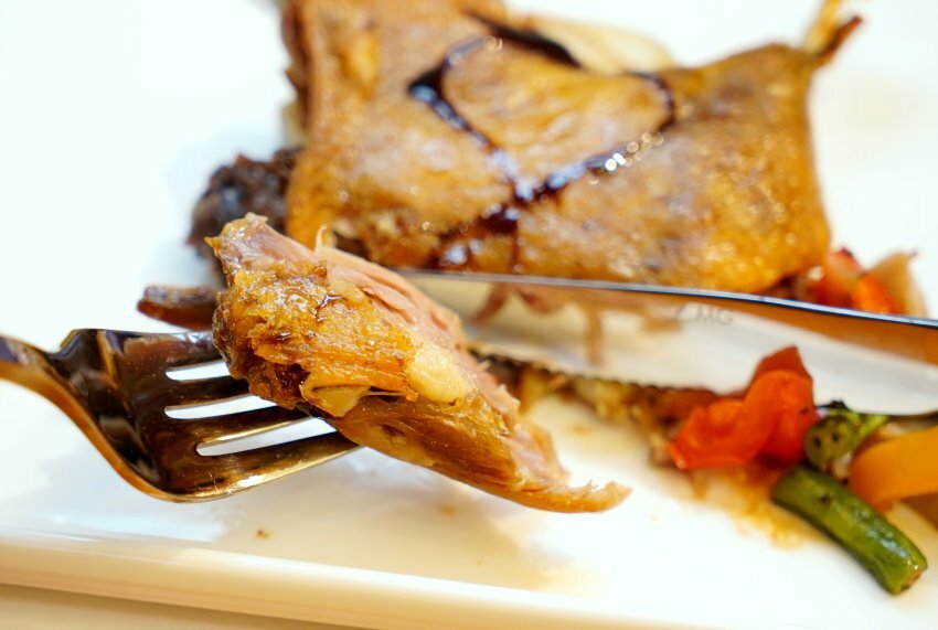 【桃園龍潭】野薑花與貓庭園咖啡．野薑花入菜、近距離與貓咪互動!