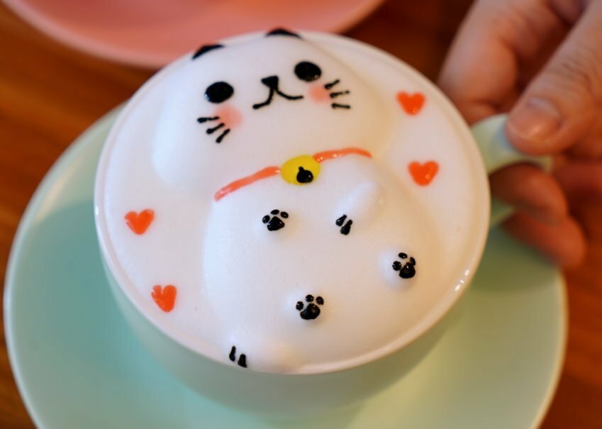 【桃園龍潭】野薑花與貓庭園咖啡．野薑花入菜、近距離與貓咪互動!