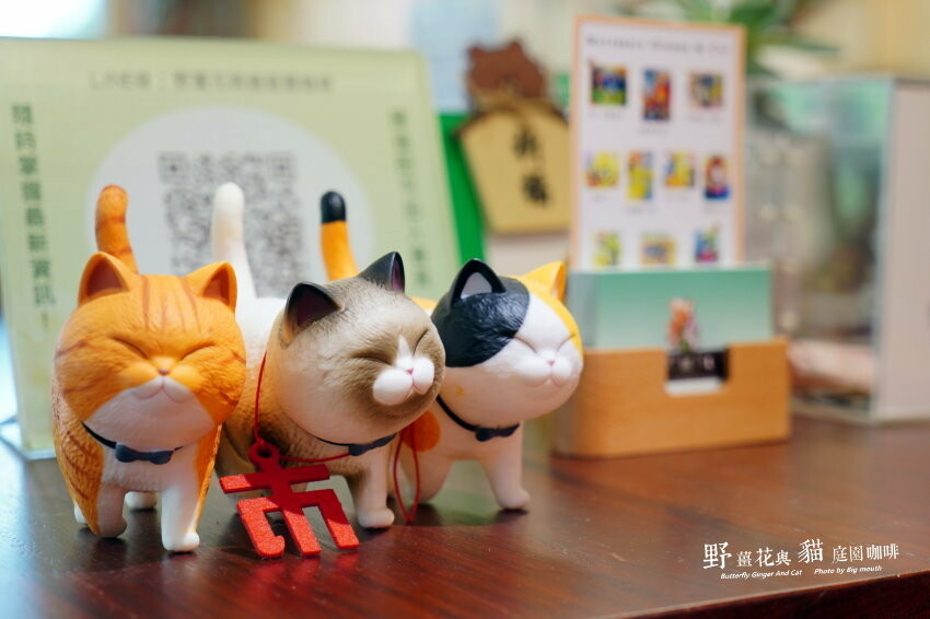 【龍潭美食】野薑花與貓庭園餐廳．野薑花料理、貓咪、立體拉花超療癒!