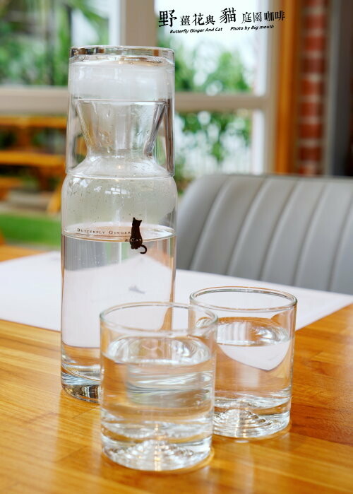 【龍潭美食】野薑花與貓庭園餐廳．野薑花料理、貓咪、立體拉花超療癒!