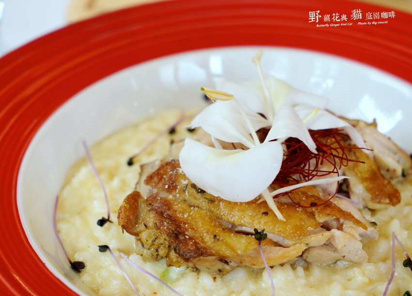 【龍潭美食】野薑花與貓庭園餐廳．野薑花料理、貓咪、立體拉花超療癒!