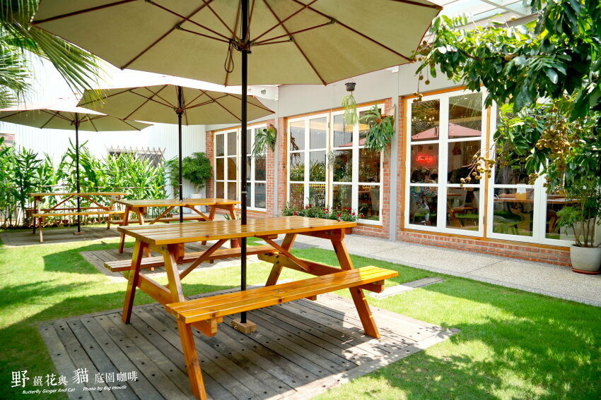 【龍潭美食】野薑花與貓庭園餐廳．野薑花料理、貓咪、立體拉花超療癒!