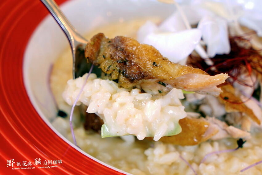 【龍潭美食】野薑花與貓庭園餐廳．野薑花料理、貓咪、立體拉花超療癒!