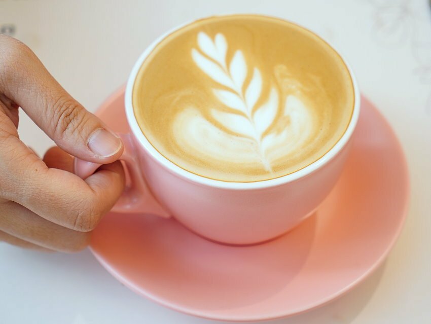 【桃園龍潭】野薑花與貓庭園咖啡．野薑花入菜、近距離與貓咪互動!