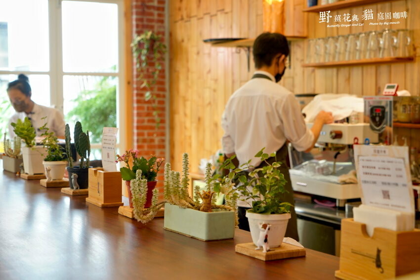 【龍潭美食】野薑花與貓庭園餐廳．野薑花料理、貓咪、立體拉花超療癒!