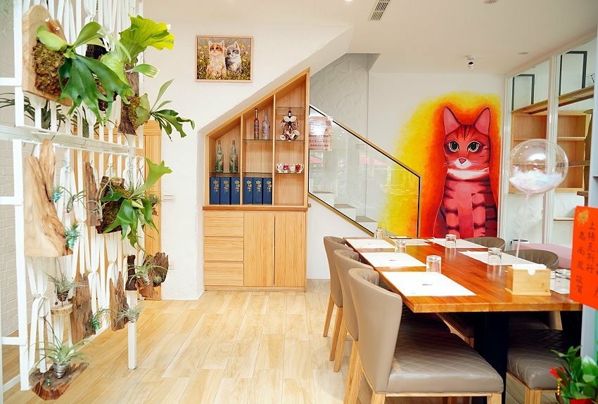 【桃園龍潭】野薑花與貓庭園咖啡．野薑花入菜、近距離與貓咪互動!