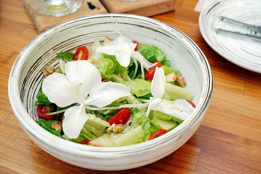 【桃園龍潭】野薑花與貓庭園咖啡．野薑花入菜、近距離與貓咪互動!