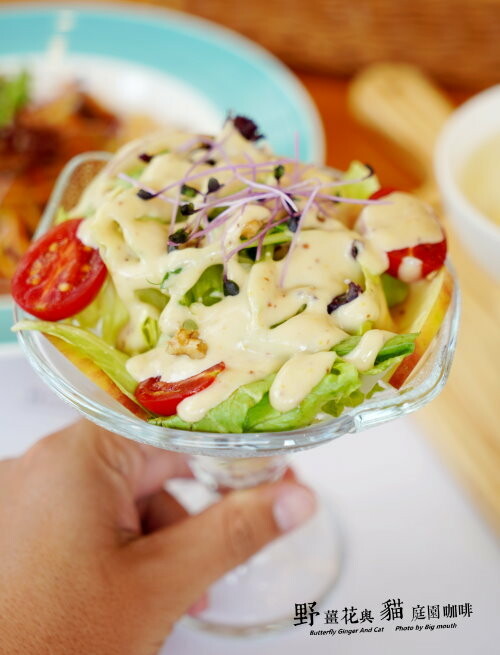 【龍潭美食】野薑花與貓庭園餐廳．野薑花料理、貓咪、立體拉花超療癒!