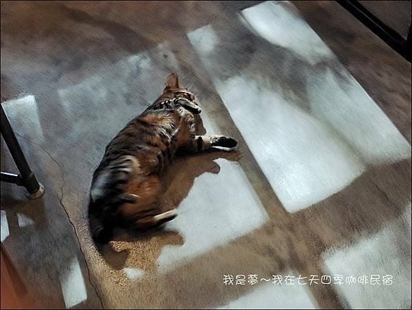 七天四季咖啡民宿53.jpg