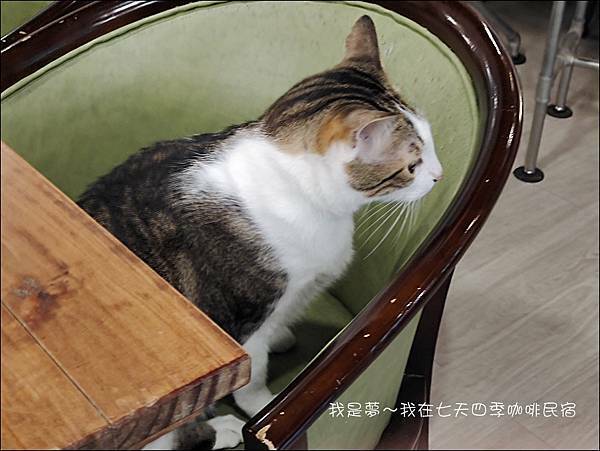 七天四季咖啡民宿54.jpg