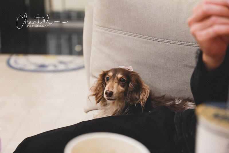 1J6A8569-2 拷貝 1J6A8569-2 拷貝