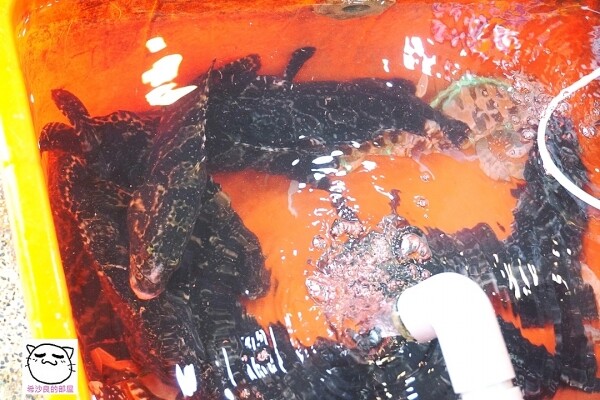 22110AJAY048.jpg 22110AJAY048.jpg