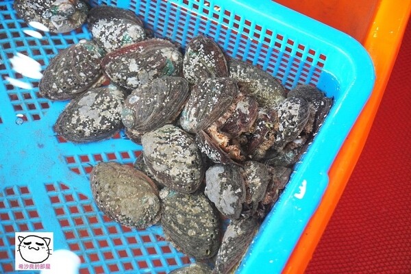 22110AJAY056.jpg 22110AJAY056.jpg