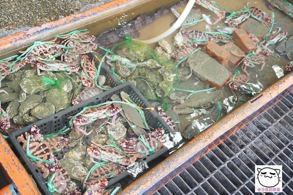 22110AJAY042.jpg 22110AJAY042.jpg