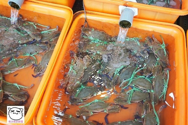 22110AJAY053.jpg 22110AJAY053.jpg