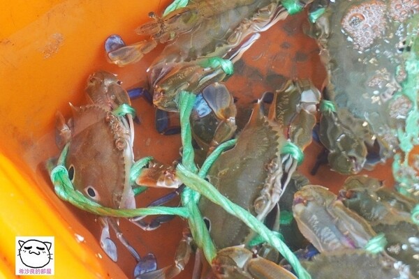 22110AJAY054.jpg 22110AJAY054.jpg