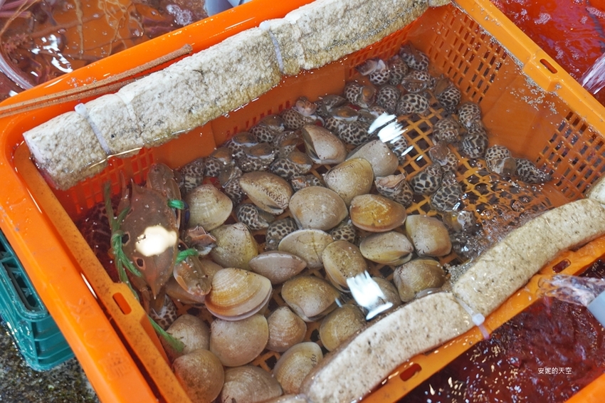 [新北野柳美食 阿杰萬里蟹]三點蟹x粄條超正點 最神的還有吻仔魚炒飯只要80元 高CP值平價海鮮餐廳 二樓還可以直接看海景 - 安妮的天空