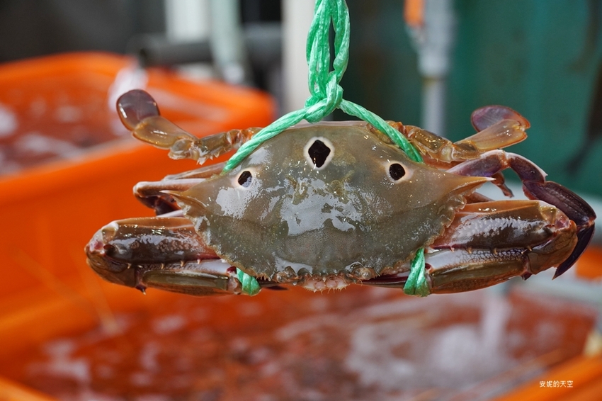[新北野柳美食 阿杰萬里蟹]三點蟹x粄條超正點 最神的還有吻仔魚炒飯只要80元 高CP值平價海鮮餐廳 二樓還可以直接看海景 - 安妮的天空