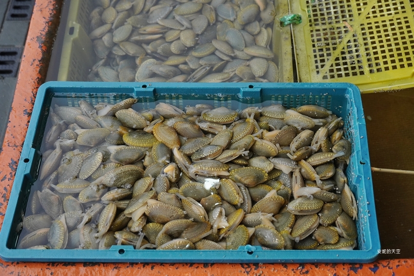 [新北野柳美食 阿杰萬里蟹]三點蟹x粄條超正點 最神的還有吻仔魚炒飯只要80元 高CP值平價海鮮餐廳 二樓還可以直接看海景 - 安妮的天空