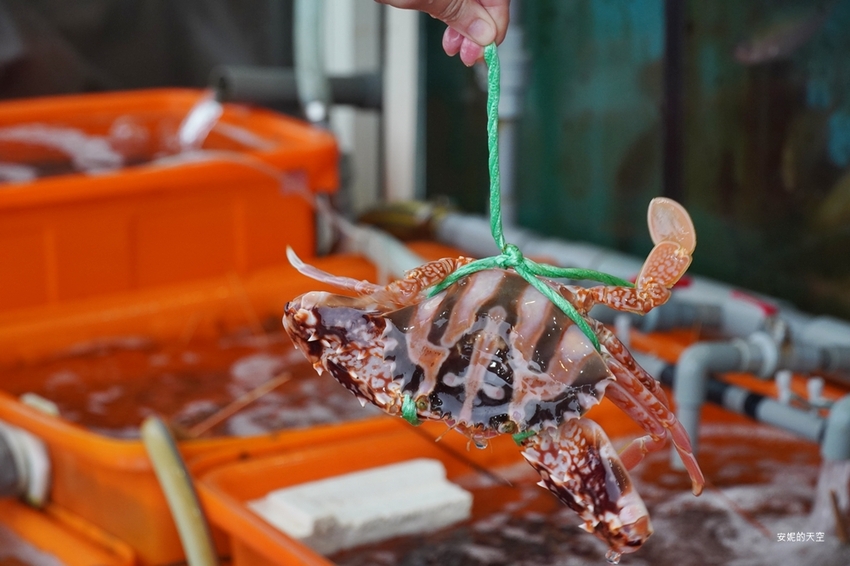 [新北野柳美食 阿杰萬里蟹]三點蟹x粄條超正點 最神的還有吻仔魚炒飯只要80元 高CP值平價海鮮餐廳 二樓還可以直接看海景 - 安妮的天空
