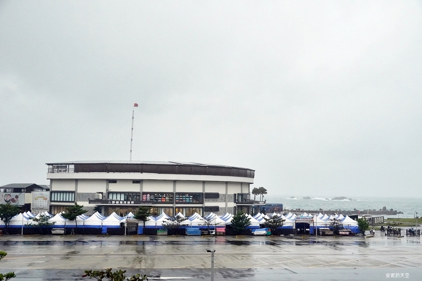 [新北野柳美食 阿杰萬里蟹]三點蟹x粄條超正點 最神的還有吻仔魚炒飯只要80元 高CP值平價海鮮餐廳 二樓還可以直接看海景 - 安妮的天空