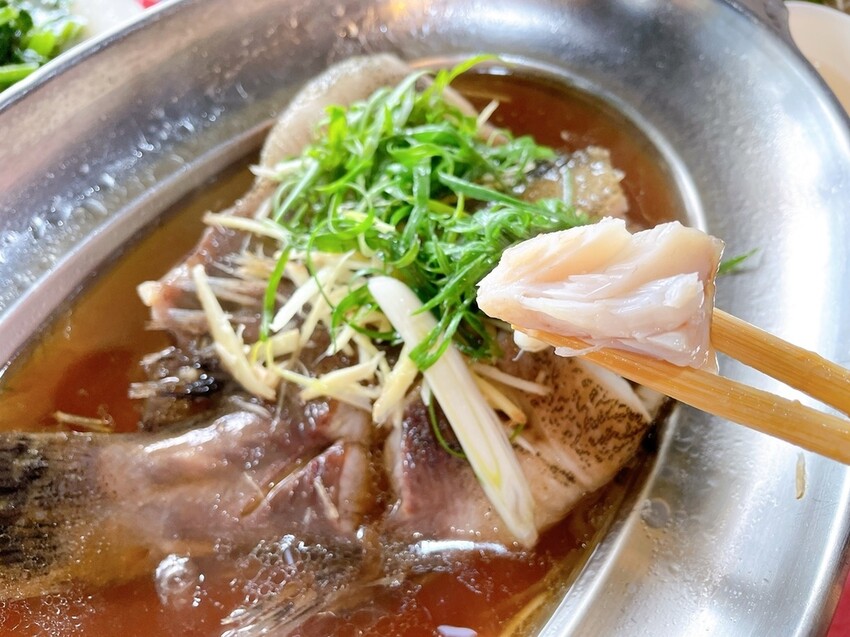 IMG_8850.JPG IMG_8850.JPG