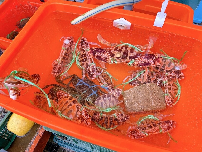 IMG_8760.JPG IMG_8760.JPG