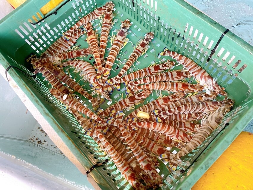 IMG_8772.JPG IMG_8772.JPG