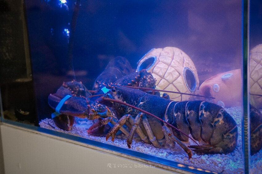 台北市大安區106 Harbor美式海鮮餐廳 美式炸海鮮桶 宵夜時段加碼送啤酒 台北宵夜餐廳推薦