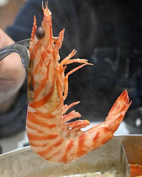 花花世界鍋物WHATSWORLDresort∥左營區美食∥浮誇華麗龍蝦海鮮套餐∥叢林風用餐環境∥打卡送鮮蠔或哈根達斯