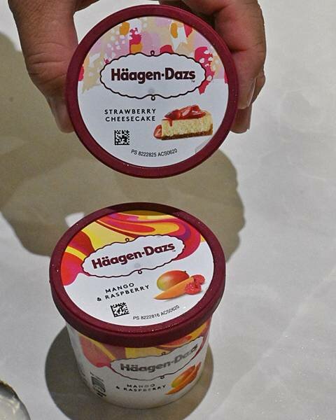 花花世界鍋物WHATSWORLDresort∥左營區美食∥浮誇華麗龍蝦海鮮套餐∥叢林風用餐環境∥打卡送鮮蠔或哈根達斯