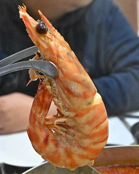 花花世界鍋物WHATSWORLDresort∥左營區美食∥浮誇華麗龍蝦海鮮套餐∥叢林風用餐環境∥打卡送鮮蠔或哈根達斯