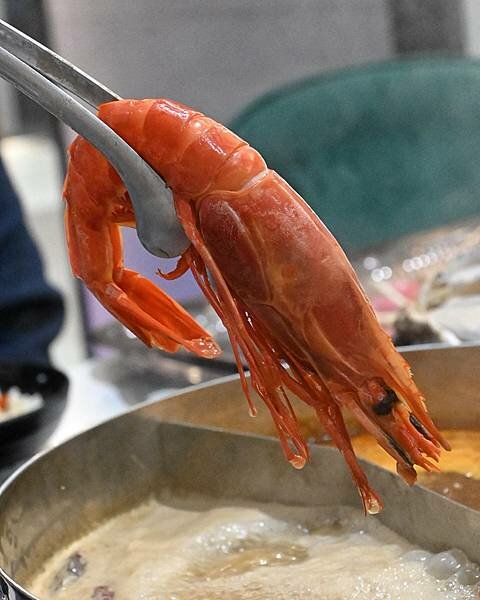 花花世界鍋物WHATSWORLDresort∥左營區美食∥浮誇華麗龍蝦海鮮套餐∥叢林風用餐環境∥打卡送鮮蠔或哈根達斯