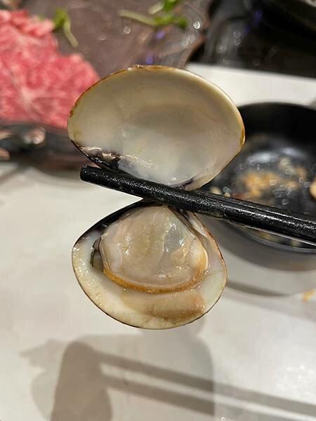 花花世界鍋物WHATSWORLDresort∥左營區美食∥浮誇華麗龍蝦海鮮套餐∥叢林風用餐環境∥打卡送鮮蠔或哈根達斯