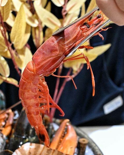 花花世界鍋物WHATSWORLDresort∥左營區美食∥浮誇華麗龍蝦海鮮套餐∥叢林風用餐環境∥打卡送鮮蠔或哈根達斯